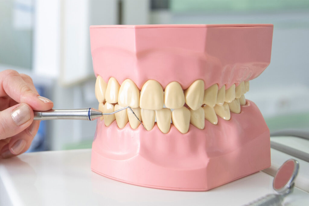 Family Dentist of Stuart | Your Guide to Emergency Dental Visits in Stuart, Fl Family Dentist of Stuart | Your Guide to Emergency Dental Visits in Stuart, Fl