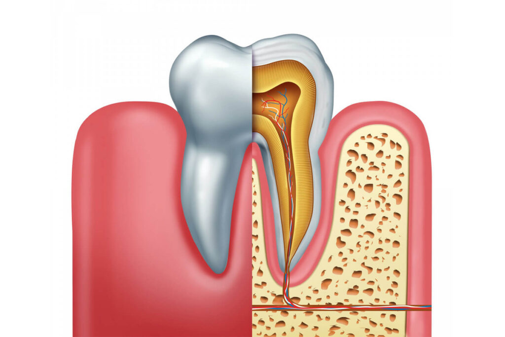 Family Dentist of Stuart | Save Your Smile From Decay With Root Canal Therapy